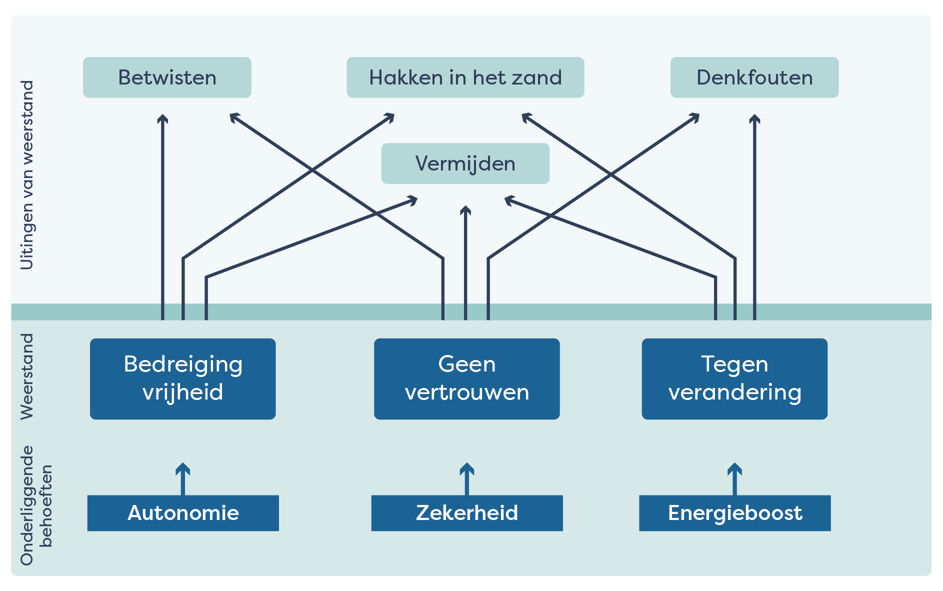 uitingen van weerstanden met onderliggende behoeften in schema
