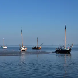 droogvallende bootjes op het wad