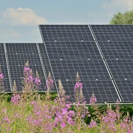 Zonnepanelen in een heideveld